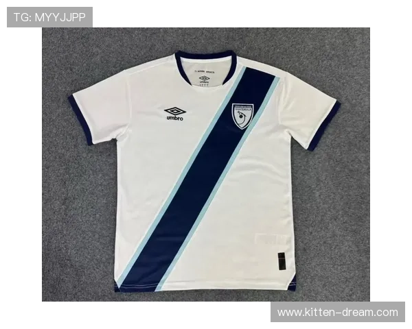 15号球衣的足球明星们盘点及其辉煌成就解析 15号球衣的足球明星们盘点及其辉煌成就解析