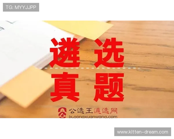 独家解析西安排球队配合风格及战术对比分析