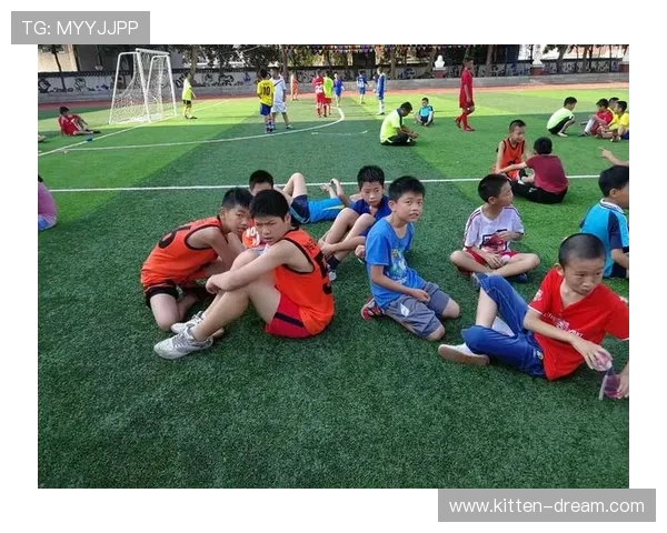 刘敏专访：从绿茵场到人生舞台的足球旅程回顾与展望