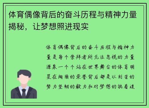 体育偶像背后的奋斗历程与精神力量揭秘，让梦想照进现实